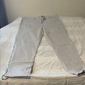 GAP Men's Light Gray Chinos